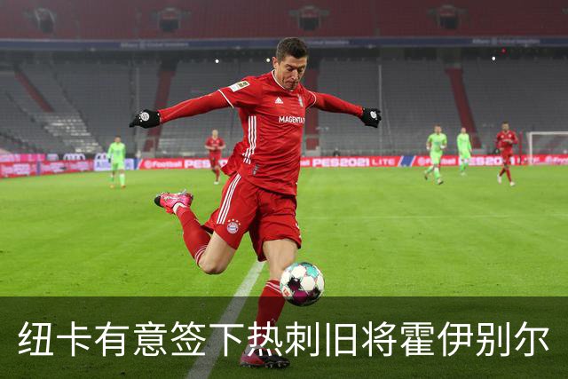 纽卡有意签下热刺旧将霍伊别尔